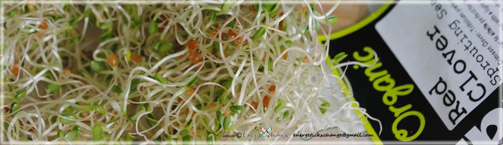 Sprouting